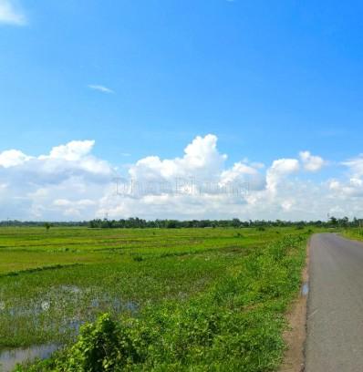 featured_img