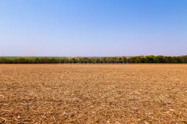 property_images/agricultural_in_mahoba_1786428534_6a7abc768167f.png