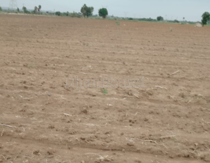 property_images/agricultural_in_mahoba_1788171853_6a95564d88e02.png