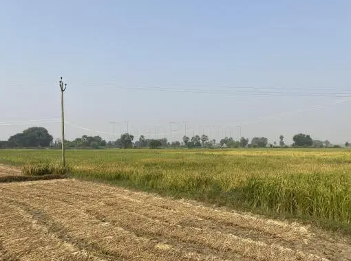 property_images/agricultural_in_mainpuri_1790059106_6ab2226228ecb.PNG