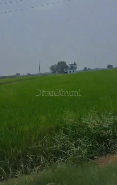 property_images/agricultural_in_malerkotla_1788513346_6a9a8c42cac49.png