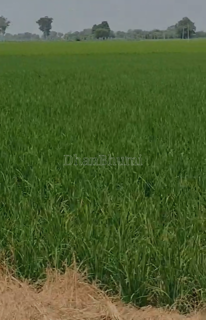 property_images/agricultural_in_malerkotla_1788513710_6a9a8daec516f.png
