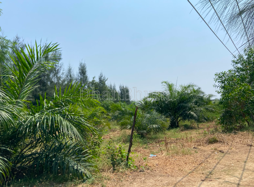 property_images/agricultural_in_mancherial_1784022789_6a5607053b99f.PNG