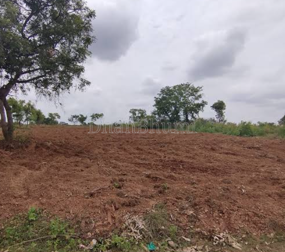 property_images/agricultural_in_mandsaur_1789029700_6aa26d442f616.png