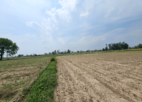 property_images/agricultural_in_mathura_1781850123_6a34e00b1e90f.PNG