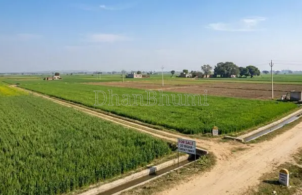 property_images/agricultural_in_mathura_1781850313_6a34e0c9f032f.PNG