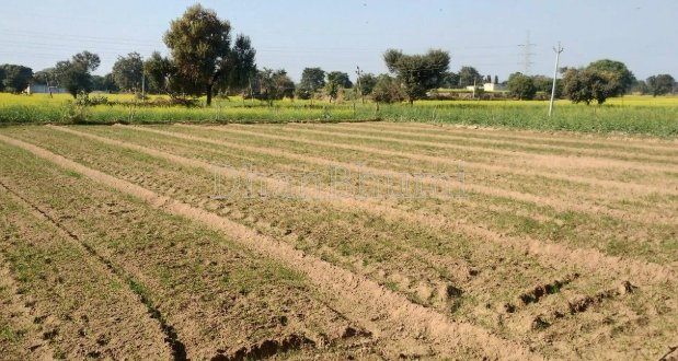 property_images/agricultural_in_mathura_1781850517_6a34e195a007c.PNG