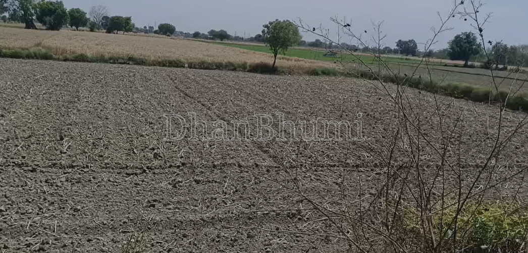property_images/agricultural_in_mathura_1782192369_6a3a18f17b74e.png