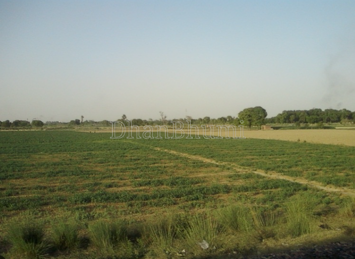 property_images/agricultural_in_mathura_1782811944_6a438d280bd78.PNG