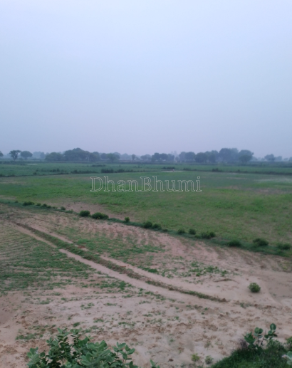 property_images/agricultural_in_mathura_1782813605_6a4393a5e2030.PNG
