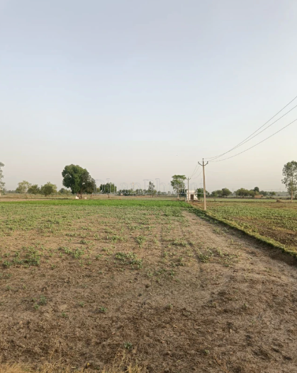 property_images/agricultural_in_mathura_1782816741_6a439fe52d83c.PNG