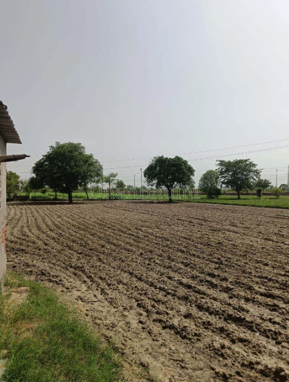 property_images/agricultural_in_mathura_1782817349_6a43a245716c8.PNG