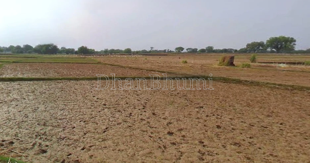 property_images/agricultural_in_mathura_1782908862_6a4507bee9e9f.PNG
