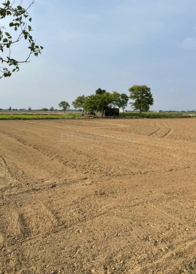 property_images/agricultural_in_mathura_1782909260_6a45094c7b3dd.PNG