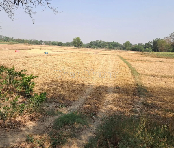 property_images/agricultural_in_mathura_1782909802_6a450b6a7f751.PNG