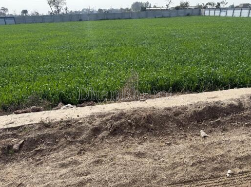 property_images/agricultural_in_mathura_1782971336_6a45fbc87e292.PNG