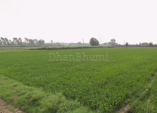 property_images/agricultural_in_mathura_1782971733_6a45fd559a99d.PNG