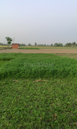 property_images/agricultural_in_mathura_1782972297_6a45ff89de618.PNG