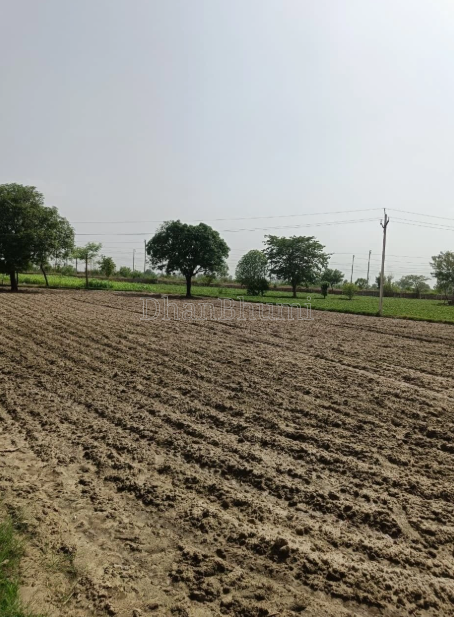 property_images/agricultural_in_mathura_1783491568_6a4debf014074.png