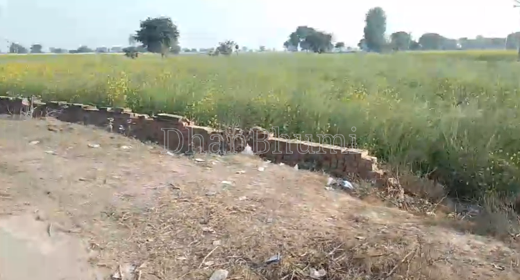 property_images/agricultural_in_mathura_1783491913_6a4ded49c4706.png