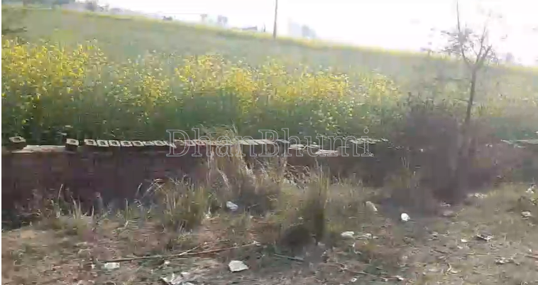 property_images/agricultural_in_mathura_1783492096_6a4dee0093a58.png