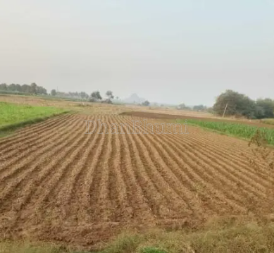 property_images/agricultural_in_mathura_1784374976_6a5b66c0ca58b.png
