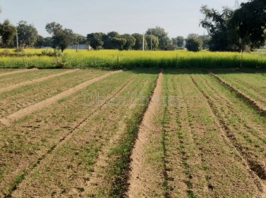 property_images/agricultural_in_mathura_1785137573_6a6709a536361.png