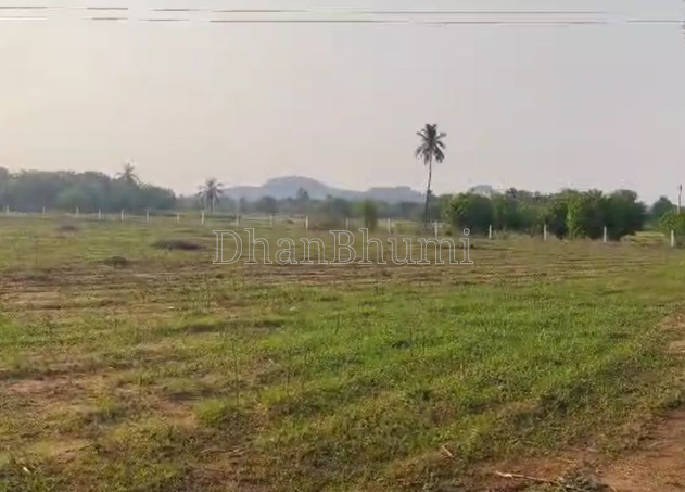 property_images/agricultural_in_mathura_1785496789_6a6c84d5019b9.PNG