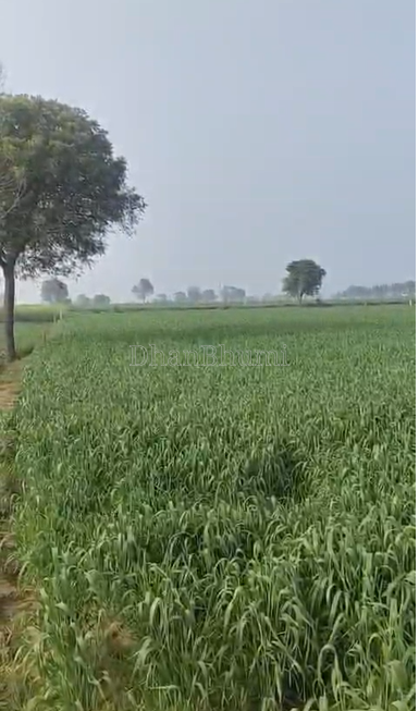 property_images/agricultural_in_mathura_1785835281_6a71af111ffd5.png