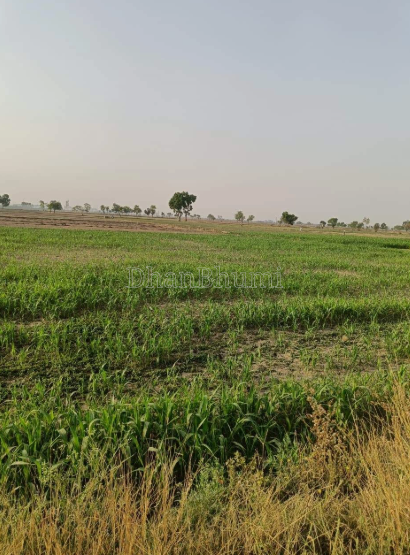 property_images/agricultural_in_mathura_1786426994_6a7ab67259f05.PNG