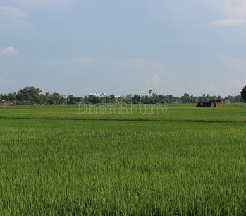 property_images/agricultural_in_mathura_1786604011_6a7d69ebb6cab.PNG