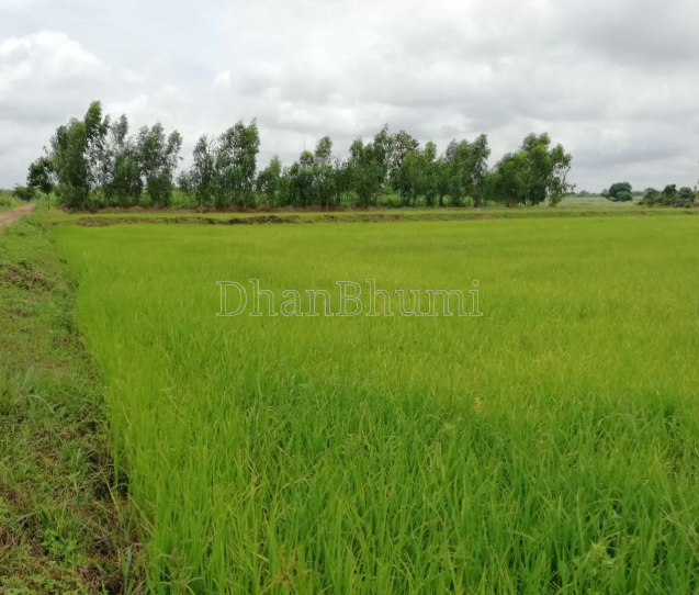 property_images/agricultural_in_mathura_1786604273_6a7d6af125aaf.PNG