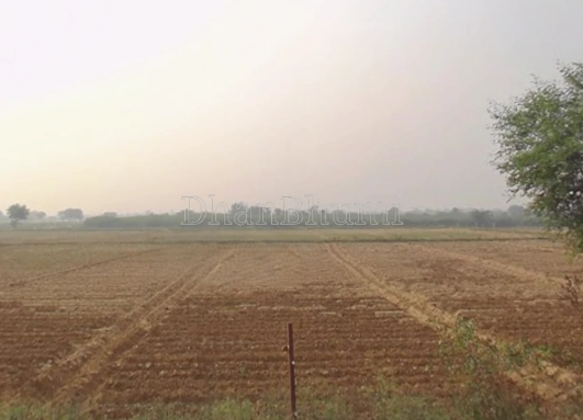 property_images/agricultural_in_mathura_1787048528_6a84325092f56.png