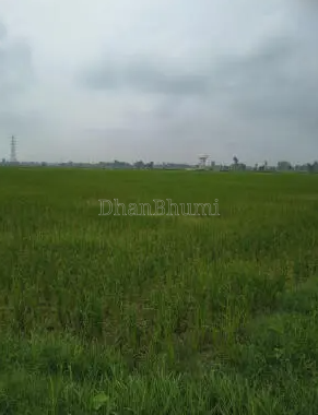property_images/agricultural_in_mathura_1787217097_6a86c4c9822cb.PNG