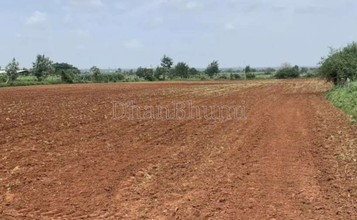 property_images/agricultural_in_mathura_1787648314_6a8d593a830f8.png