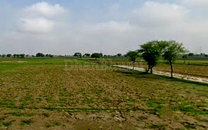 property_images/agricultural_in_mathura_1787650974_6a8d639e4d27d.png