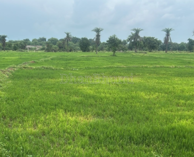 property_images/agricultural_in_mathura_1787727405_6a8e8e2db591f.png