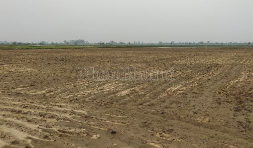property_images/agricultural_in_mathura_1787729386_6a8e95ea783ff.png