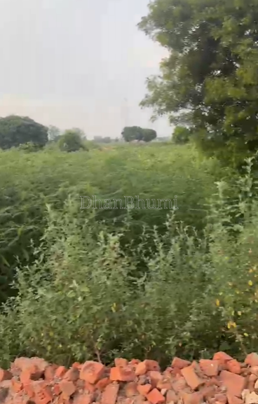 property_images/agricultural_in_mathura_1787730154_6a8e98eac8b98.png