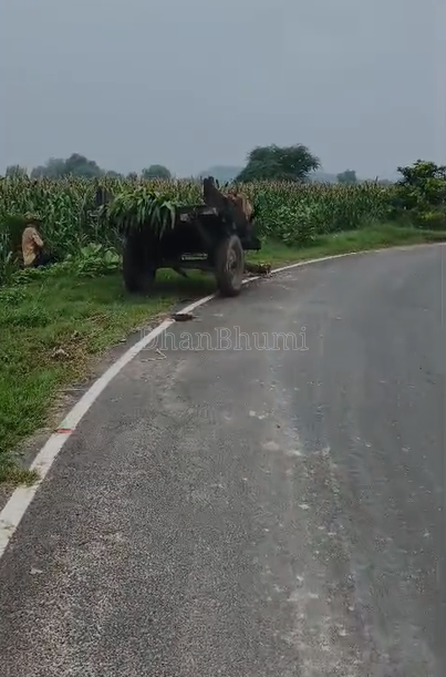 property_images/agricultural_in_mathura_1787988481_6a928a0151f50.png