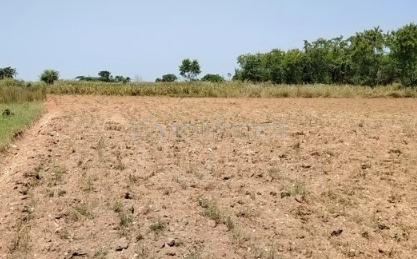 property_images/agricultural_in_mathura_1787990848_6a92934057302.png
