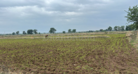 property_images/agricultural_in_mathura_1787990985_6a9293c98ebc8.png