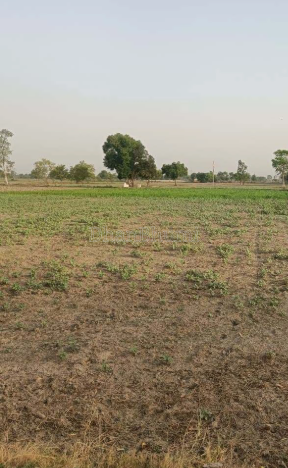 property_images/agricultural_in_mathura_1788161009_6a952bf12aeaf.png