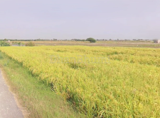 property_images/agricultural_in_mathura_1788161258_6a952cead7004.png