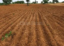 property_images/agricultural_in_mathura_1789104561_6aa391b145ad9.png