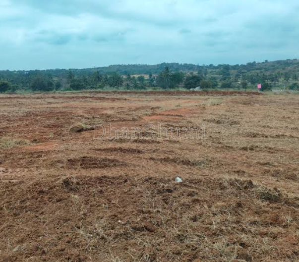 property_images/agricultural_in_mathura_1789112735_6aa3b19fa318e.png