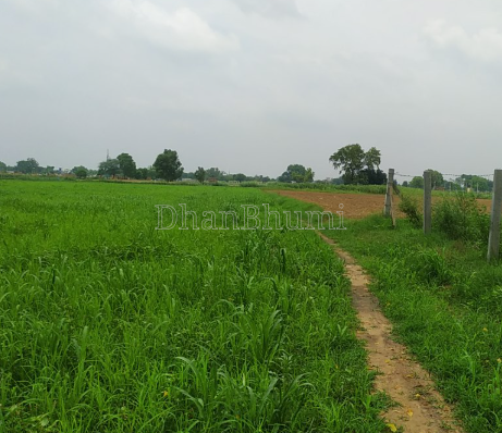 property_images/agricultural_in_mathura_1789216455_6aa546c7dc737.PNG