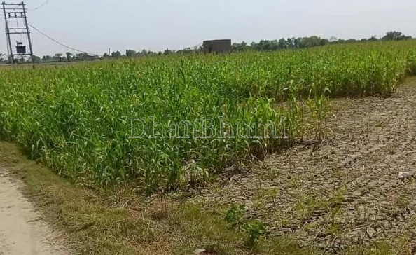 property_images/agricultural_in_mathura_1789216640_6aa547804184f.PNG