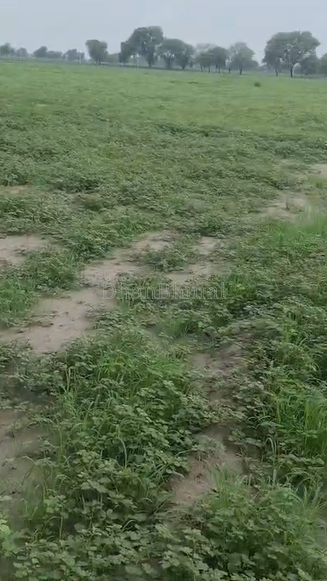 property_images/agricultural_in_mathura_1789555638_6aaa73b609530.png