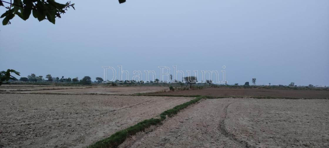 property_images/agricultural_in_mathura_1789626870_6aab89f6eb8e8.jpeg